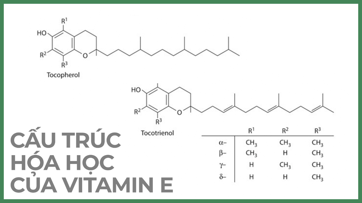 Vitamin E có thực sự hiệu quả trong điều trị sẹo?