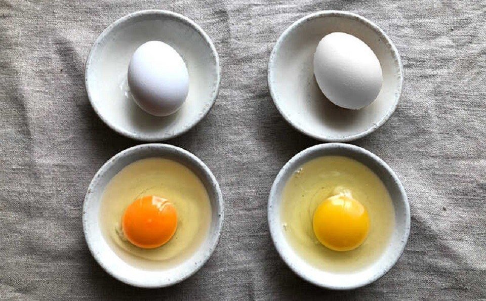 Lòng đỏ trứng có màu cam tốt hơn hay màu vàng?