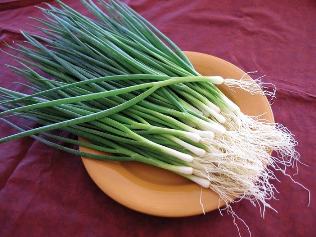 Hành lá: gia vị và vị thuốc quý của mùa đông