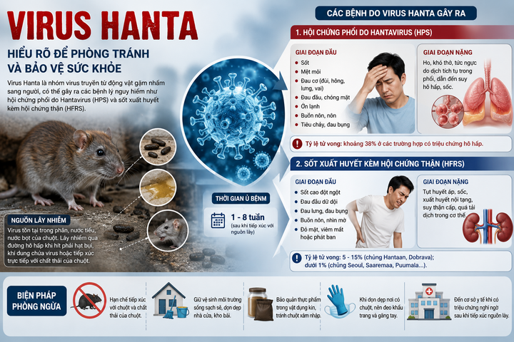 Virus Hanta gây bệnh gì?