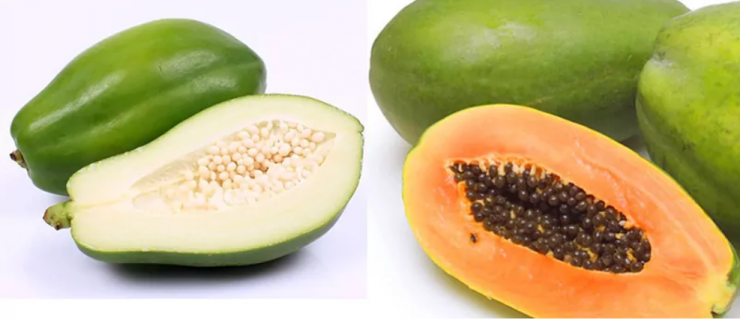 Tác dụng của đu đủ xanh và đu đủ chín khác nhau thế nào?